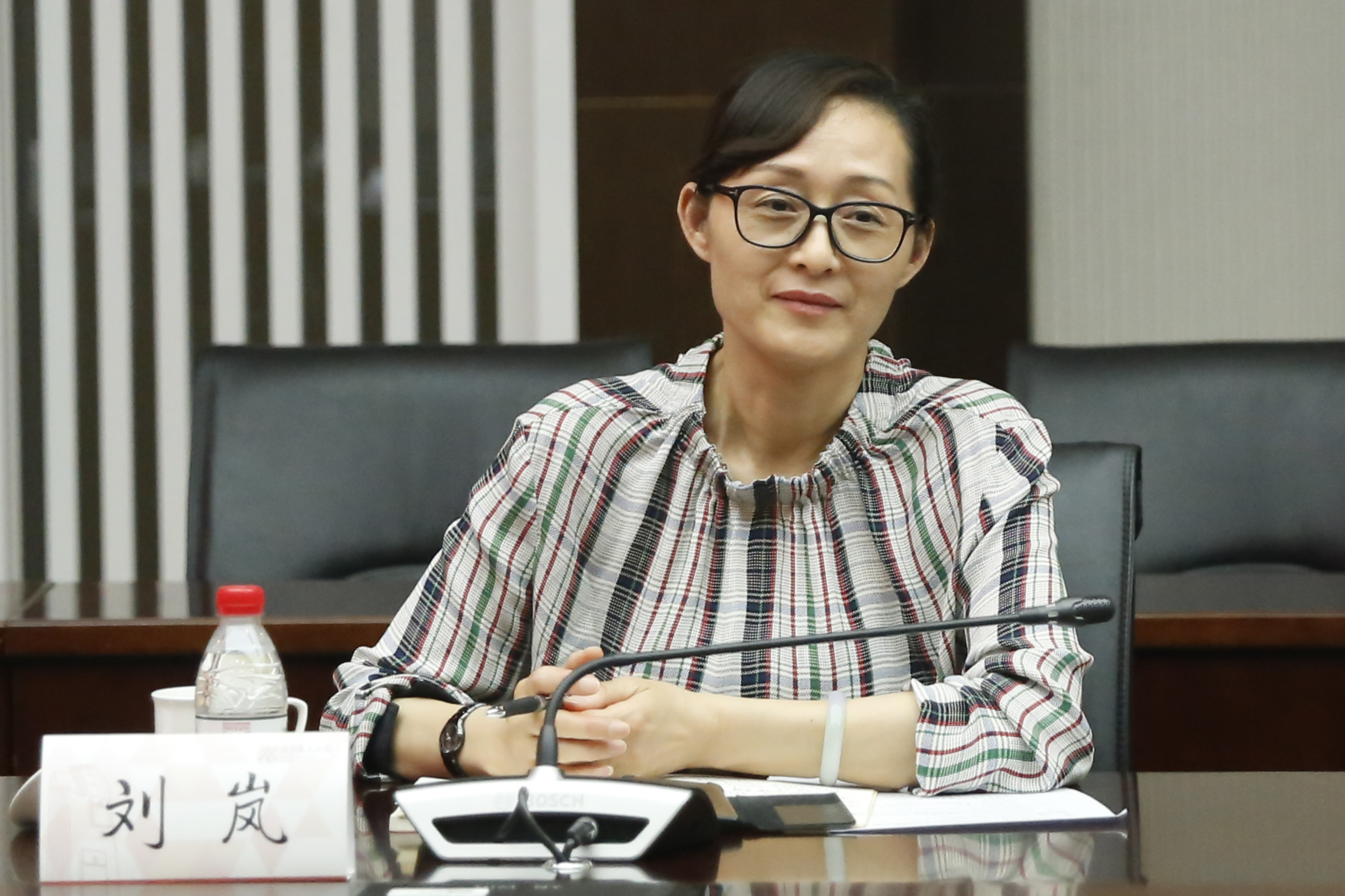 3、刘岚发言.jpg