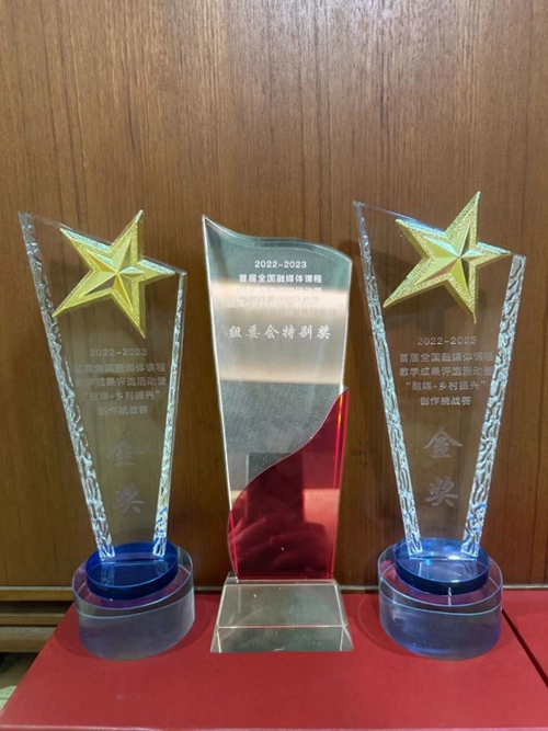 图1 奖杯_副本.jpg