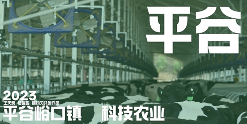 图像2023-12-28 21.40 (6).jpg